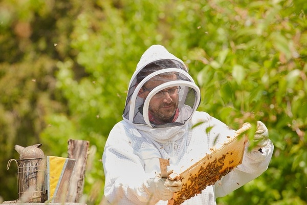 Ansgar Barth beim Imkern � Barth's H�sli