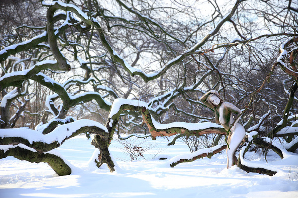 Werk mit dem Titel "Enchanted Place" in der Ausstellung "Metamorphosen" � Laila Pregizer