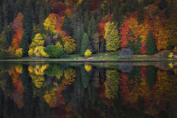 Heimatfotos: Herbst am Feldberg � Nick Schmid